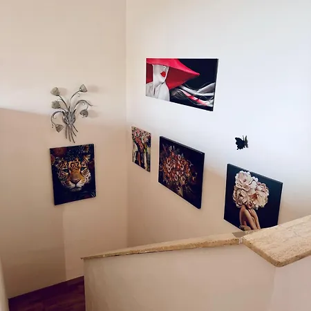 公寓 Casa Belvedere